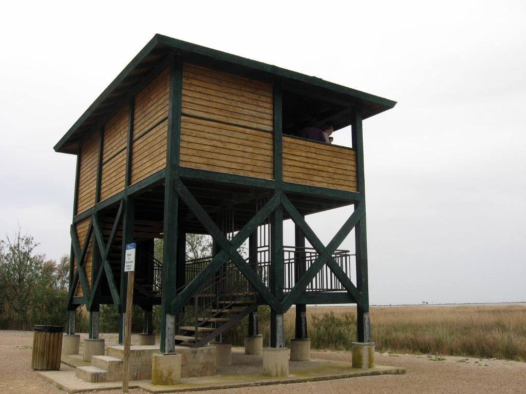 Spanje Elly (1)